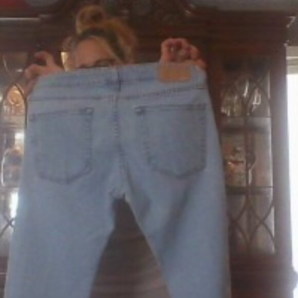 bonobo - Picture 1 of 1